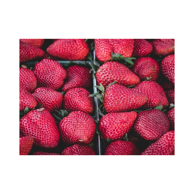 Heavy Duty Silk Chair fr-FR